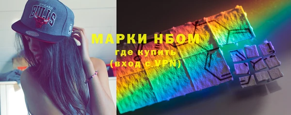 дживик Бородино