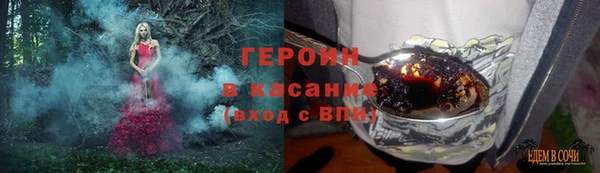 дживик Бородино