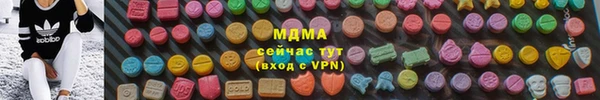 дживик Бородино