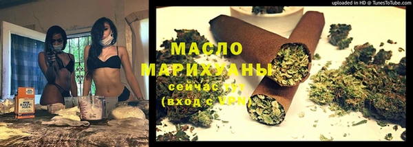 дживик Бородино