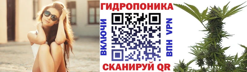 Купить где  Новосокольники  Конопля марихуана 
